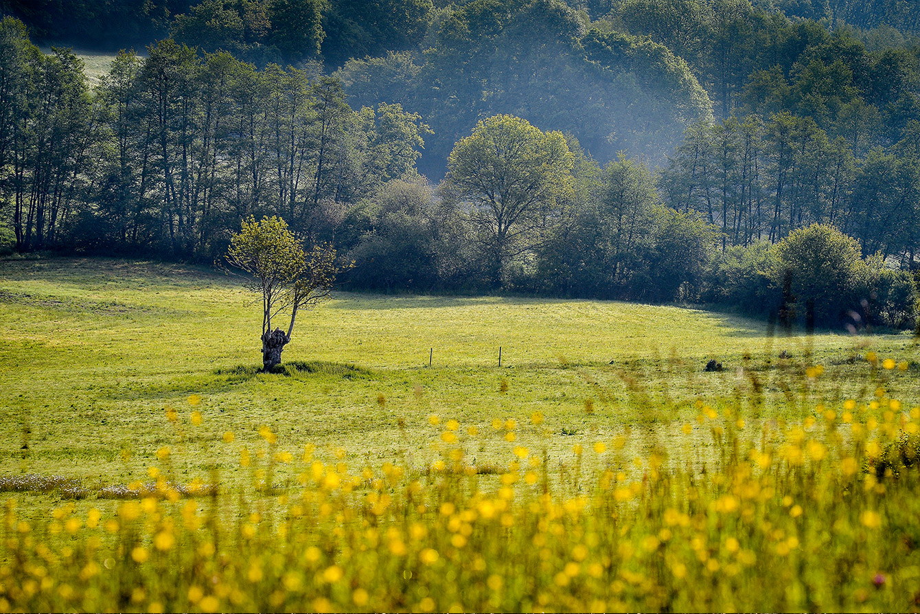 Paysage Boursay