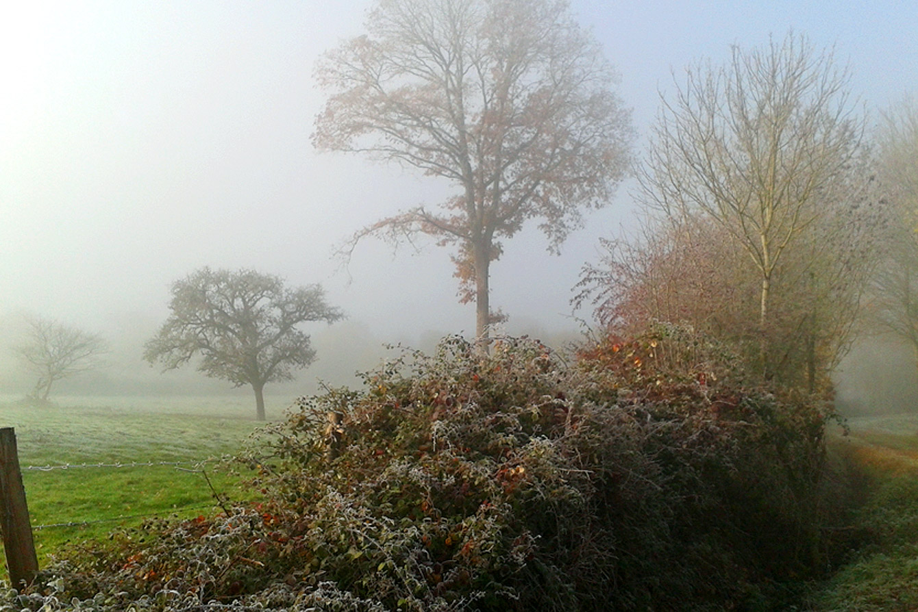 paysage-gault