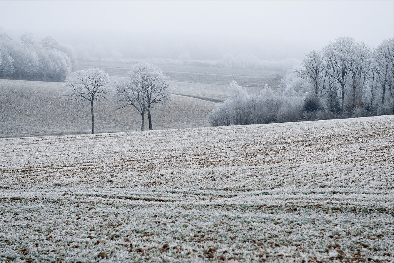 Paysage